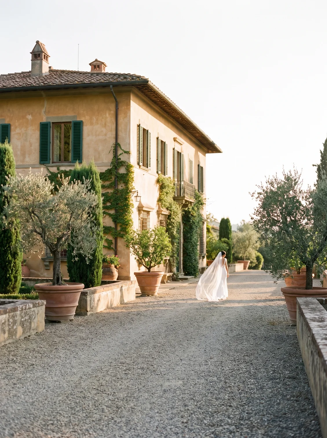 Nora — Wedding